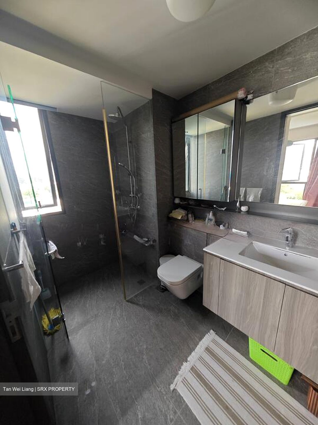 The Clement Canopy (D5), Apartment #499907891